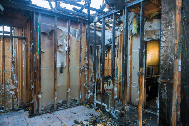 Professional Smoke Damage Removal technician working in Gainesville, VA